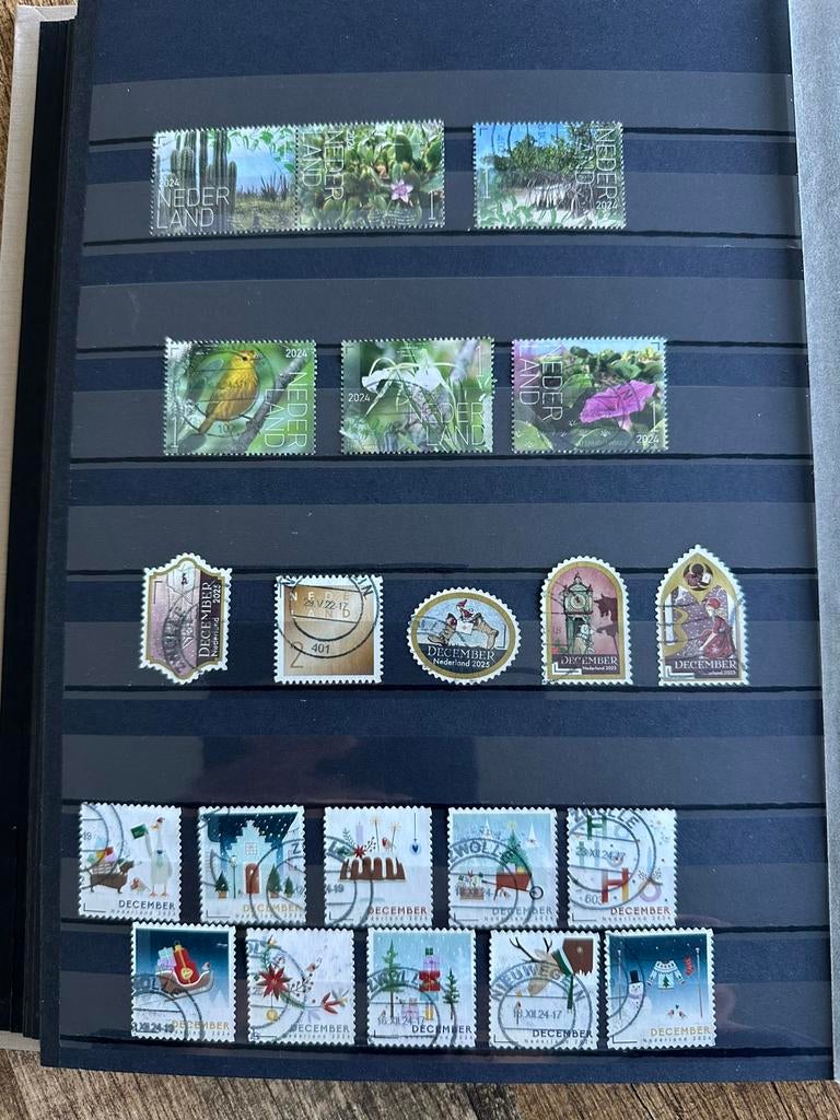 Nederland 21, Verzenden, Nederland