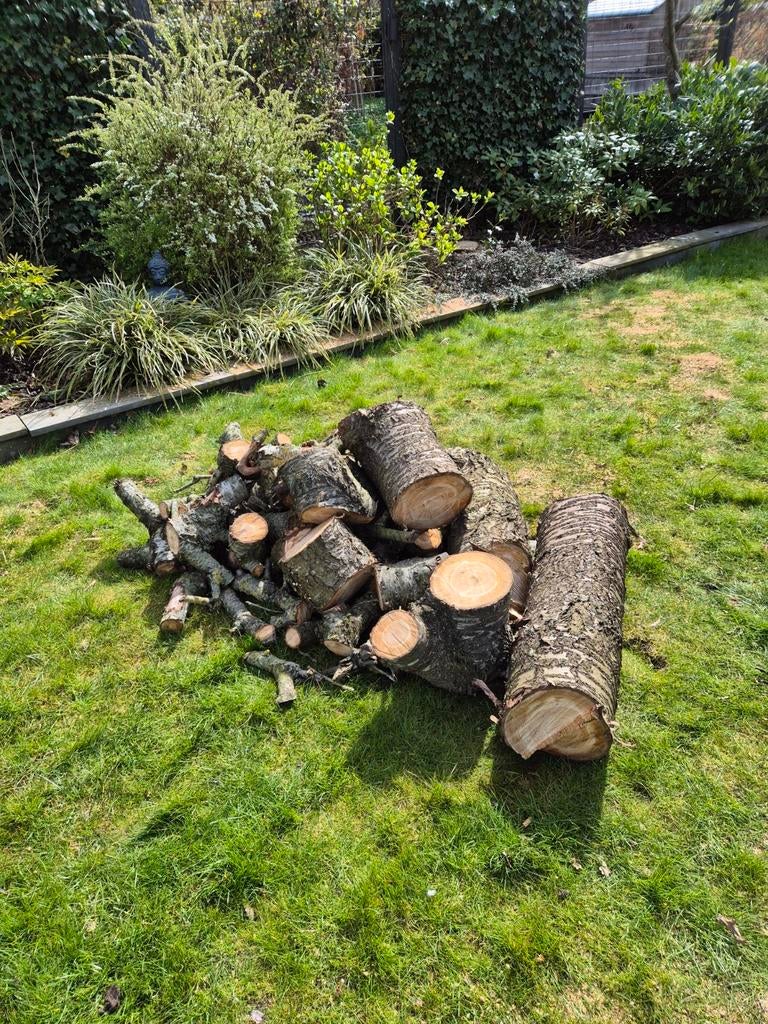 Haardhout: kersenhout blokken, Minder dan 3 m³, Ophalen, Overige houtsoorten, Blokken