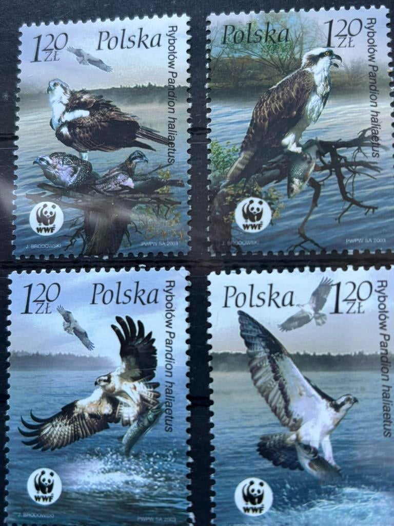 Vogel, Polen 2003, Ophalen of Verzenden, Postfris, Dier of Natuur