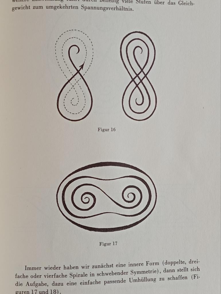 Hans Rudolf Niederhauser Formenzeichnungen Steiner Pedagogie, Boeken, Filosofie, Ophalen of Verzenden, Gelezen