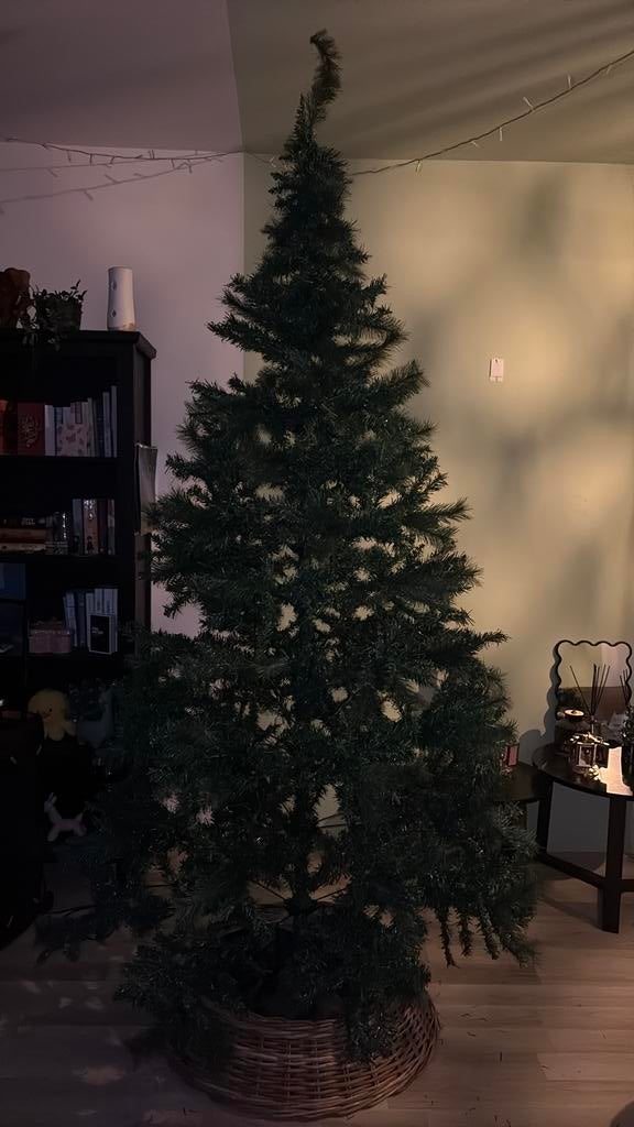 Kerstboom bieden, Ophalen, Zo goed als nieuw