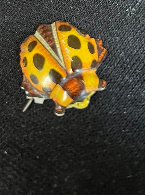 Klein Oud Blikken Kevertje Speld/Broche - Japan, Ophalen of Verzenden