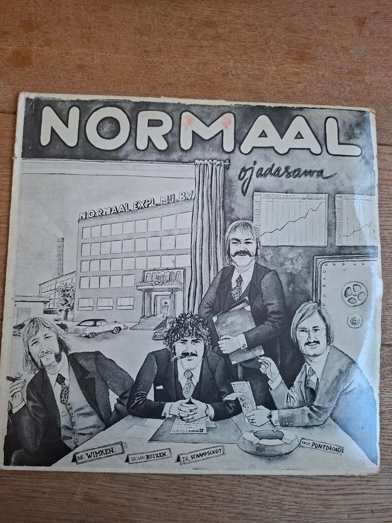 Normaal - Ojadasawa LP, Ophalen of Verzenden, Gebruikt, 12 inch, Overige genres