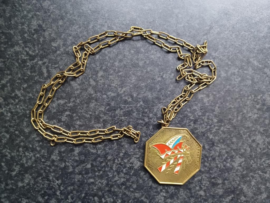 Carnavals medaille onderscheiding CV Peelvrujters (Heusden), Postzegels en Munten, Ophalen, Overige materialen, Nederland