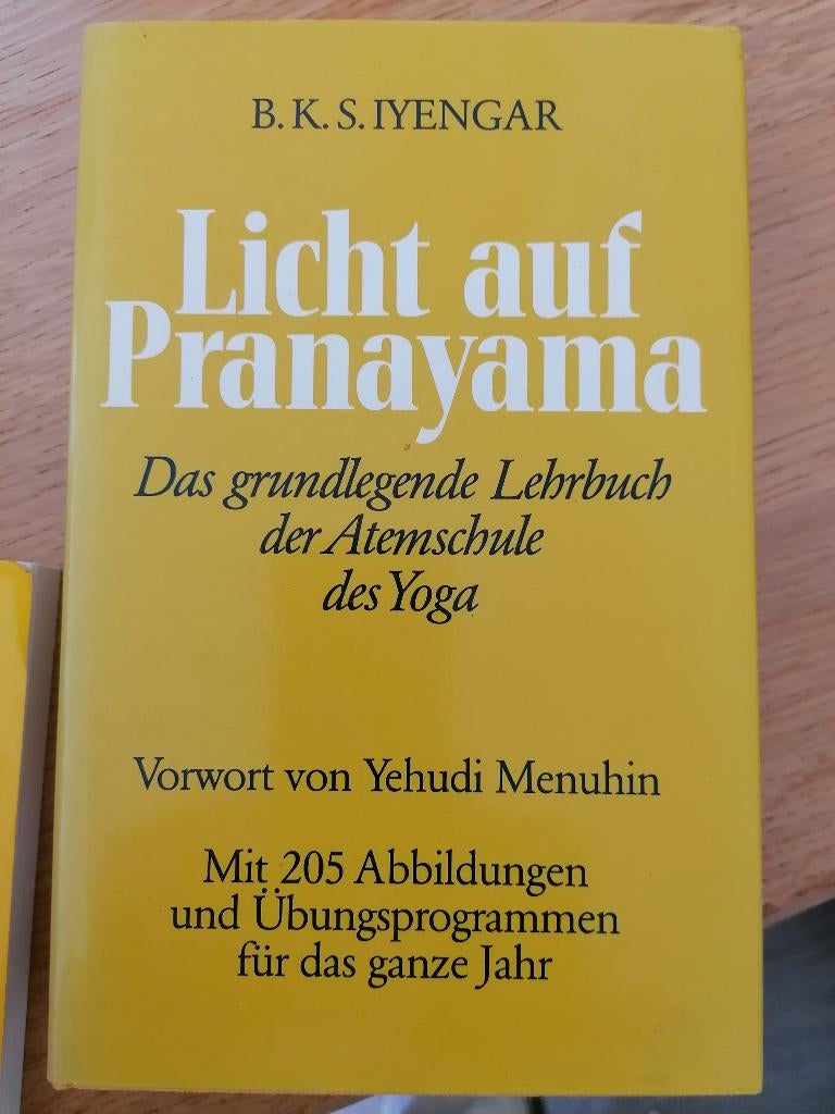 ADEMHALING  Licht auf pranayama Atemschule des Yoga Brücke, Boeken, Overige Boeken, Zo goed als nieuw, Ophalen of Verzenden