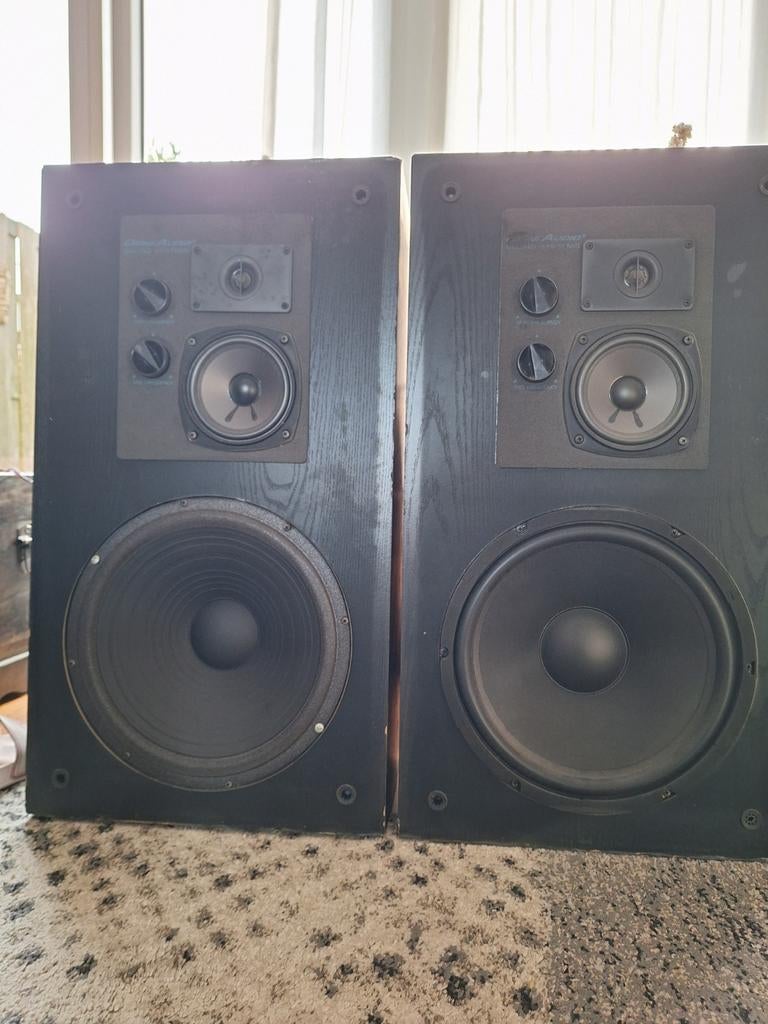 Grote luidsprekers, Audio, Tv en Foto, Luidsprekers, Ophalen, 120 watt of meer, Front, Rear of Stereo speakers, Overige merken