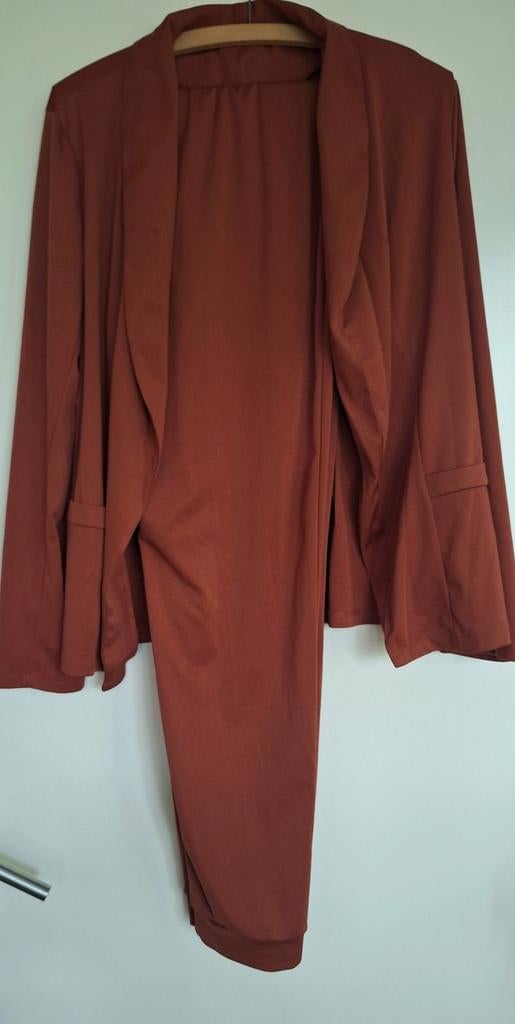 Terracotta travelstof pak Mt 44, Ophalen of Verzenden, Gedragen, Overige kleuren, Kostuum of Pak