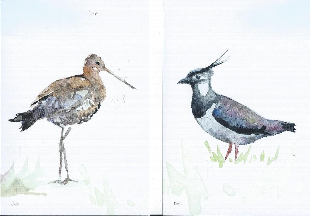 3 ongelopen ansichtkaarten Nederlandse Weidevogels, Verzenden, Voor 1920, Ongelopen, Vogel