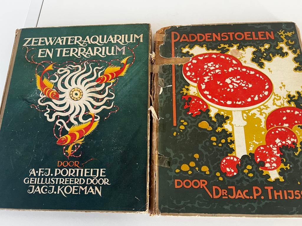 Oude boeken, Antiek en Kunst, Ophalen of Verzenden