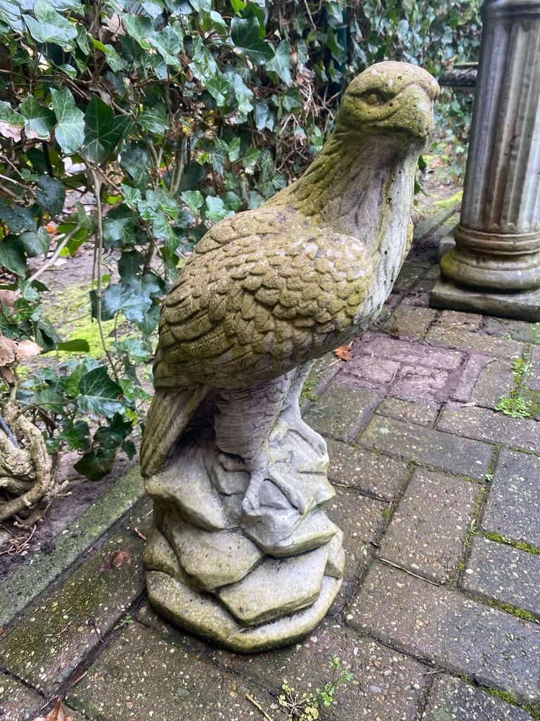 Stenen Adelaar Tuinbeeld - 60 cm Hoog, Ophalen of Verzenden, Gebruikt, Beton, Dierenbeeld