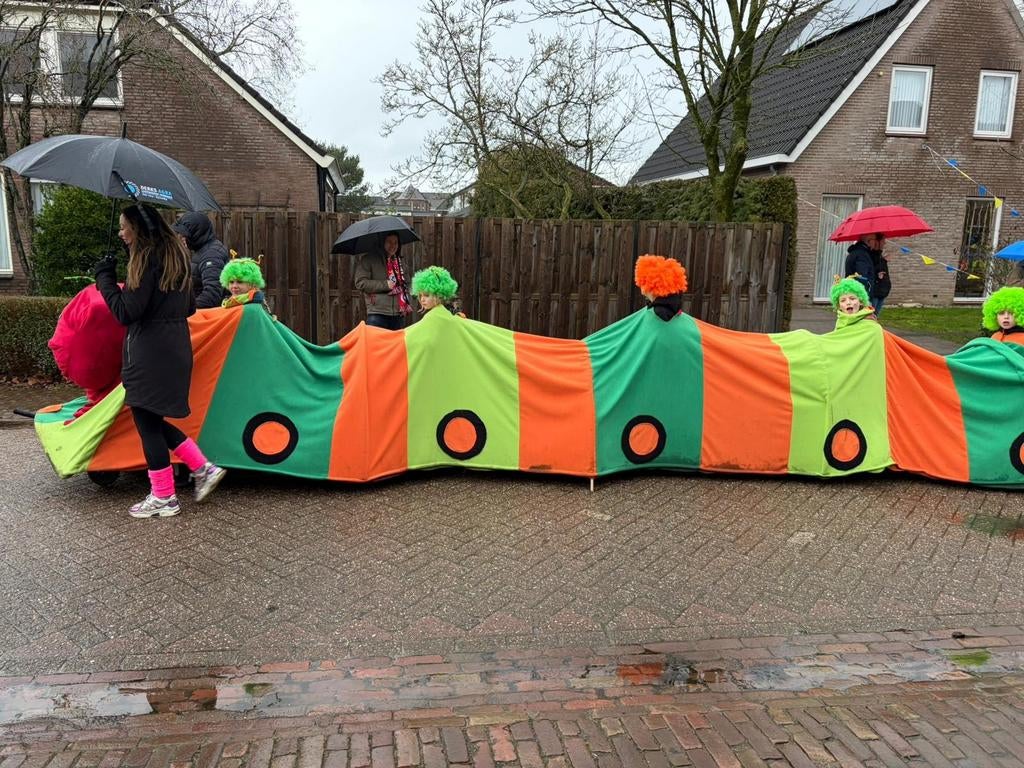 Carnaval rups, Ophalen, Gebruikt, Jongen of Meisje