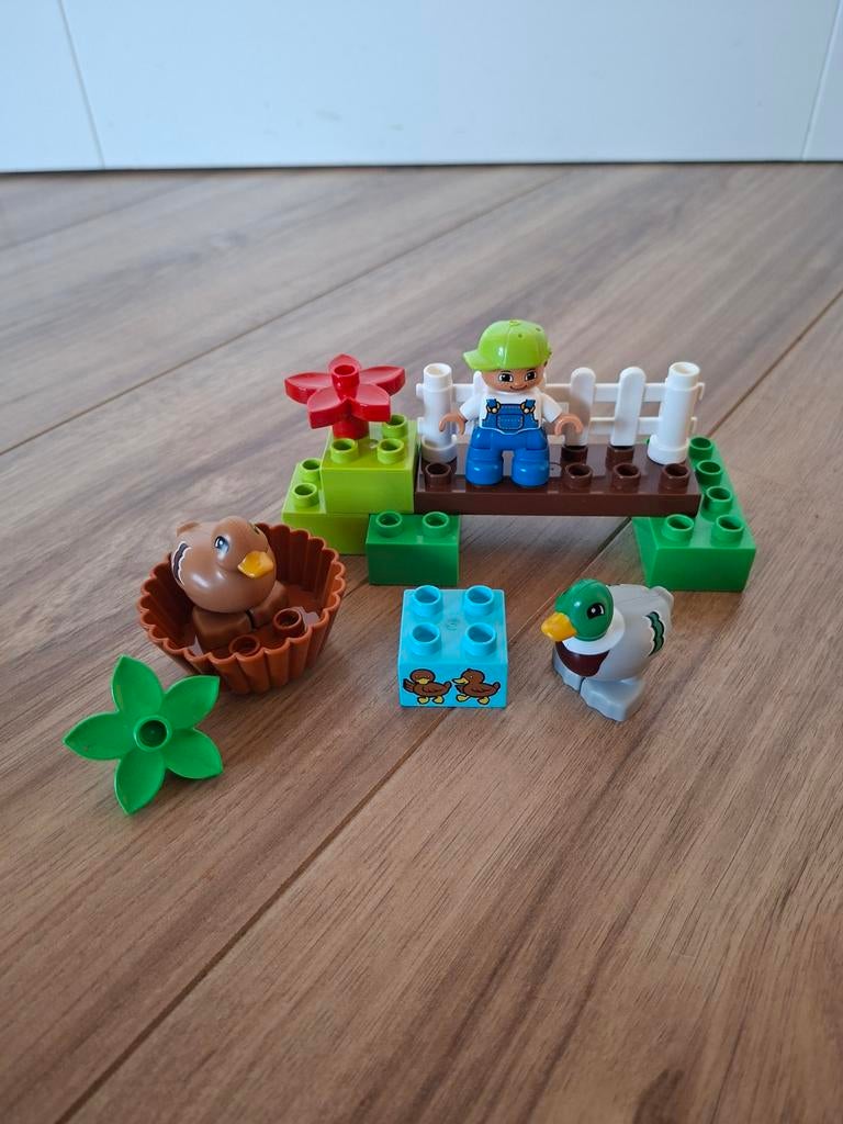 Lego Duplo 10581 Bos eenden, Ophalen, Zo goed als nieuw, Complete set, Duplo