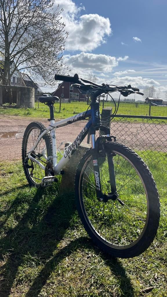 Cannondale F6 MTB wit/blauw –, Ophalen, Gebruikt, Overige merken
