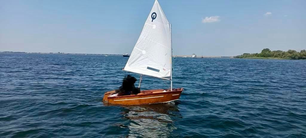 Houten Optimist zeilboot – ideaal voor kinderen – vaarklaar, Watersport en Boten, Ophalen of Verzenden, Gebruikt