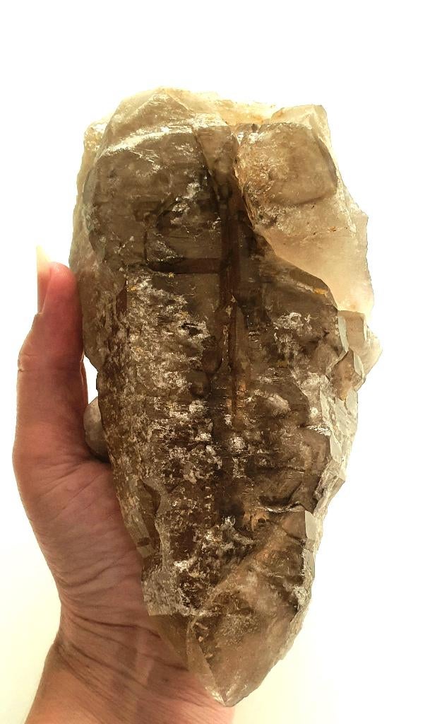 Prachtige Kathedraalkwarts Rookkwarts Record keeper!, Verzamelen, Mineralen en Fossielen, Mineraal, Verzenden