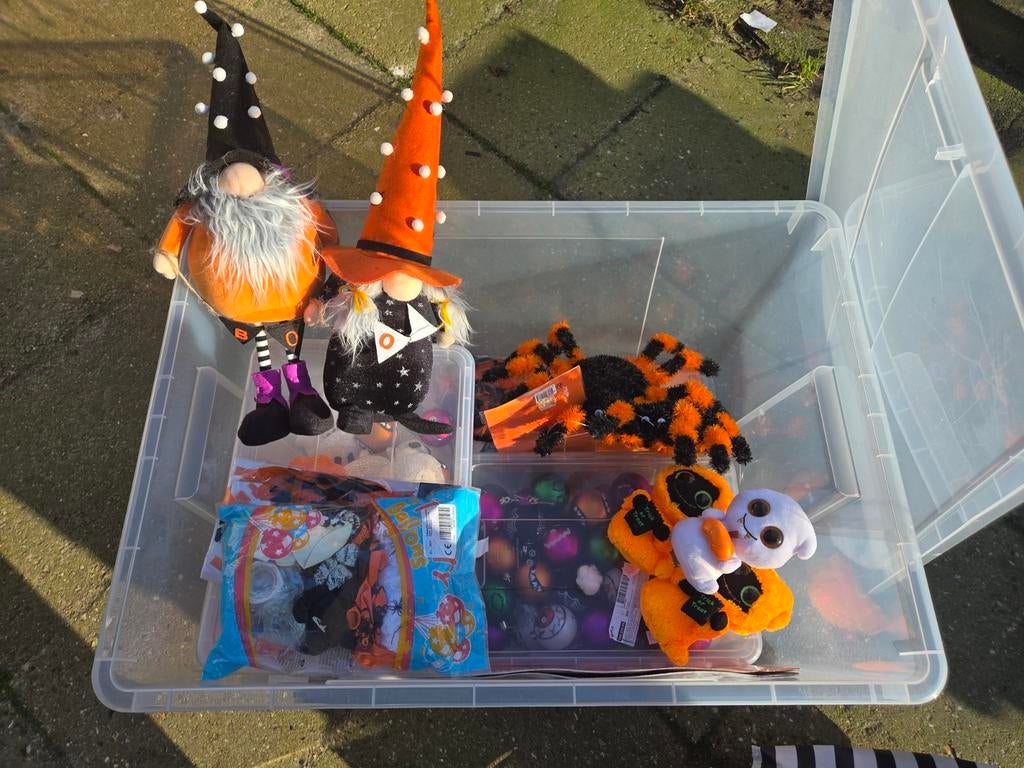 Halloween decoratie, Ophalen of Verzenden, Versiering, Halloween of Griezel