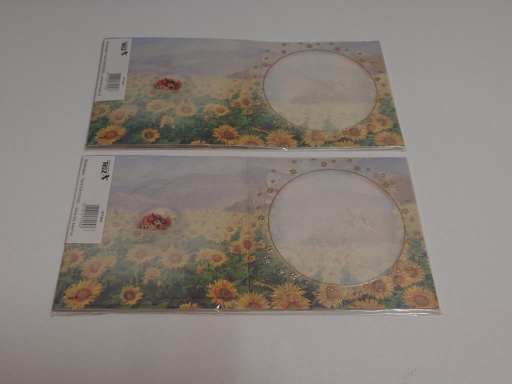 International TBZ voorbedrukte vellum wenskaarten NIEUW, Ophalen of Verzenden, Nieuw