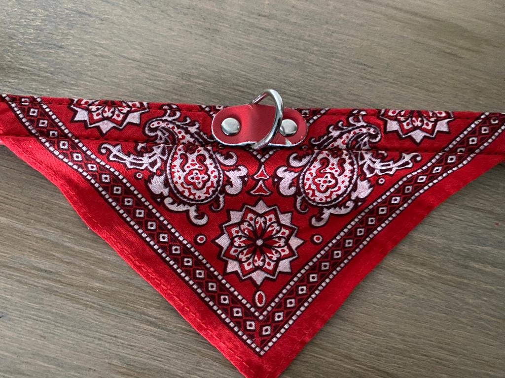 LEUKE HONDEN HALSBAND  NIEUW, Ophalen of Verzenden, Nieuw