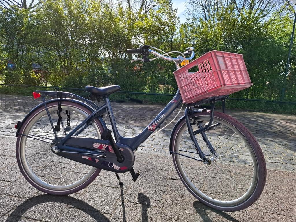 Alpina Meisjesfiets 26 inch met mandje, Fietsen en Brommers, 26 inch of meer, Gebruikt, Alpina, Ophalen of Verzenden