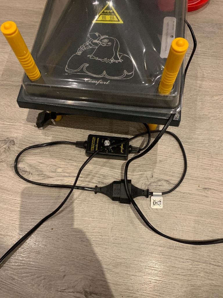 Kuiken en kip benodigdheden, Vrouwelijk, Kip