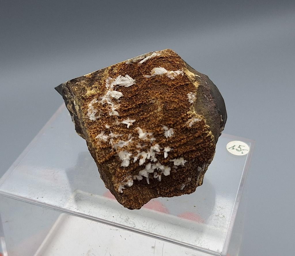 Gips - Wehrendorf, Duitsland, Ophalen of Verzenden, Mineraal