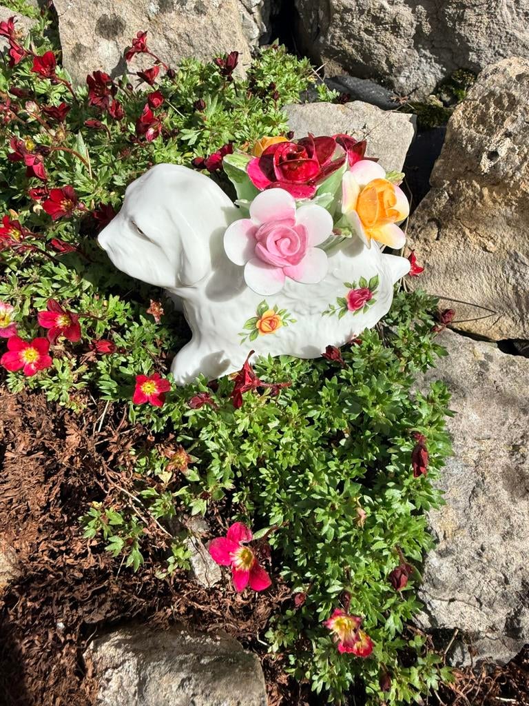 Royal Albert oldcountry roses hondje met bloemen, Ophalen