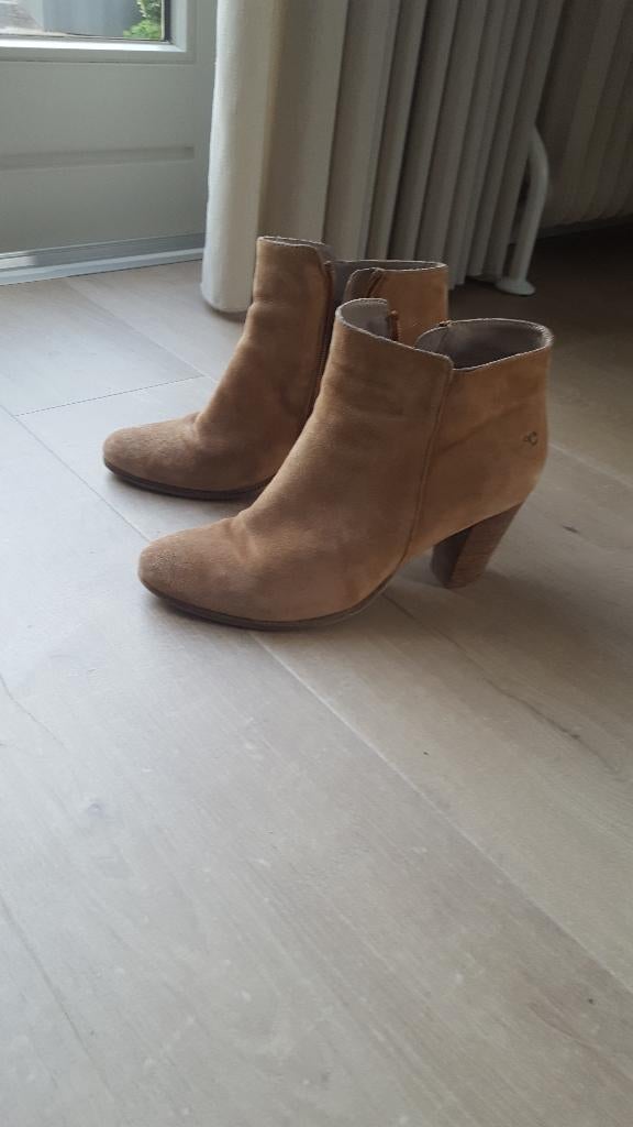 enkellaarsjes Cellini maat 41, Kleding | Dames, Schoenen, Bruin, Ophalen of Verzenden, Zo goed als nieuw, Lage of Enkellaarzen