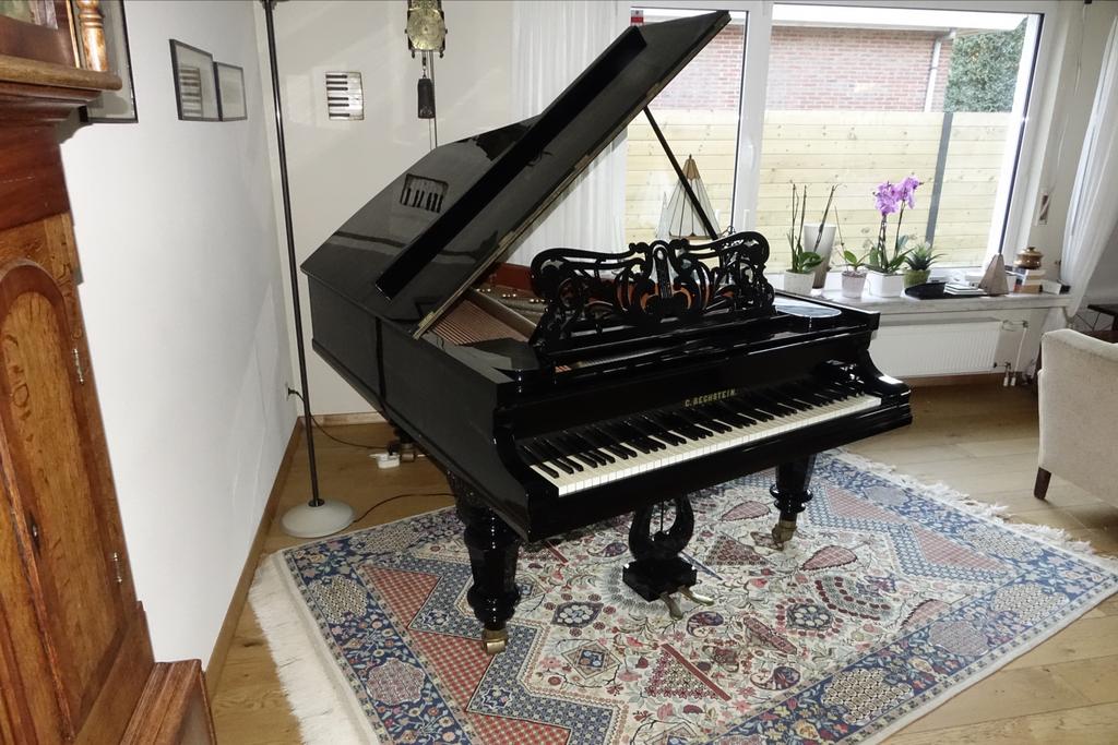 C. Bechstein Vleugel - Professioneel Gerenoveerd (1875), Muziek en Instrumenten, Piano's, Ophalen, Gebruikt, Zwart, Hoogglans