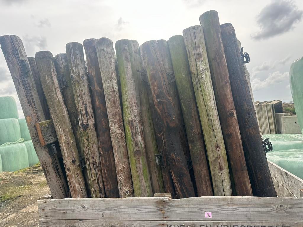 50 weidepalen te koop, Tuin en Terras, Palen, Balken en Planken, Ophalen of Verzenden, Zo goed als nieuw, Palen