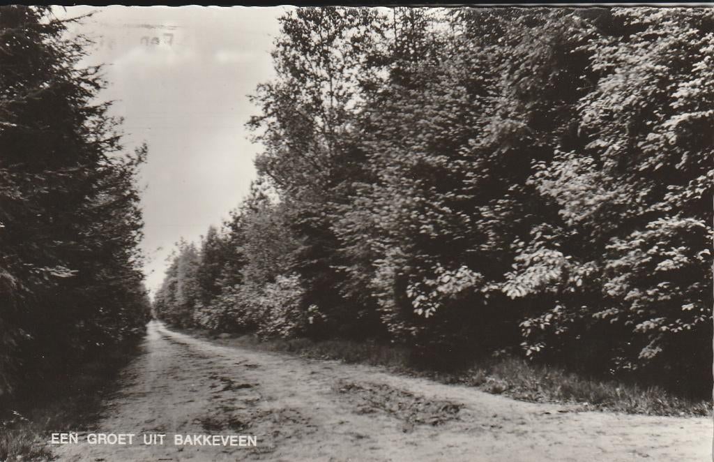 Bakkeveen, Ophalen of Verzenden, 1940 tot 1960, Gelopen, Friesland