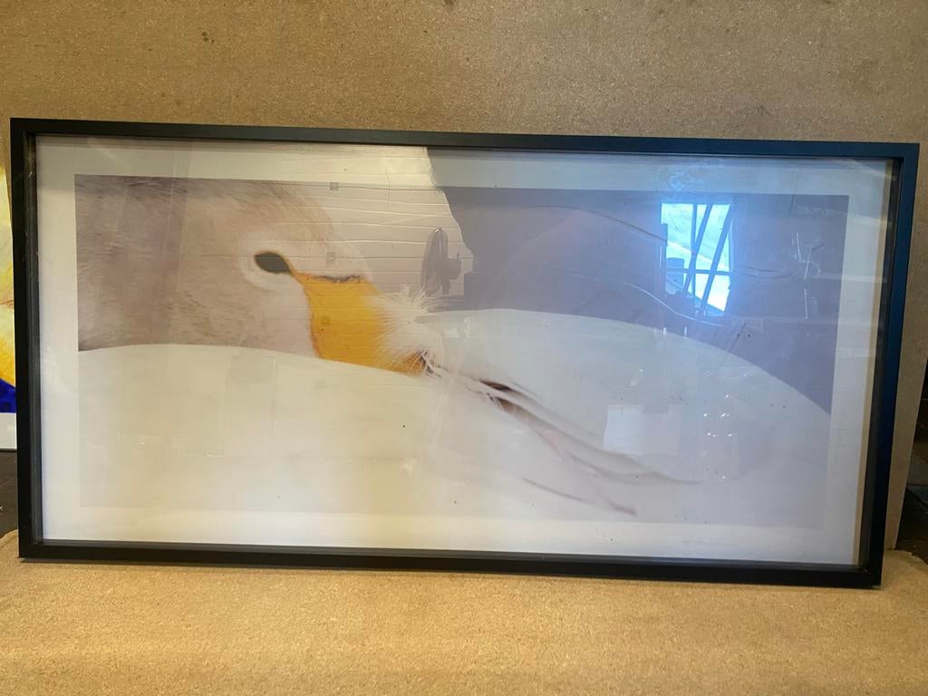 Schilderij met vogel, 116 x 59 x 3,5 cm, Antiek en Kunst, Kunst | Schilderijen | Klassiek, Ophalen