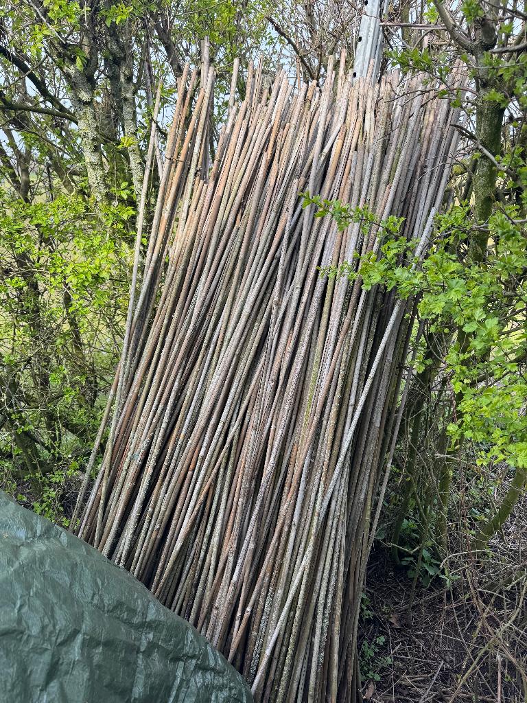 Bamboestokken Bamboe Tonkinstokken Tonkin, Ophalen, Gebruikt, Overige typen