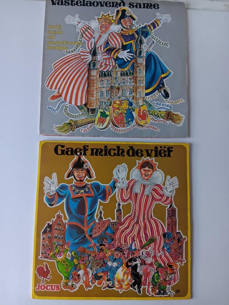 Lp's carnaval Limburg, Cd's en Dvd's, Ophalen of Verzenden, Zo goed als nieuw, 12 inch, Levenslied of Smartlap