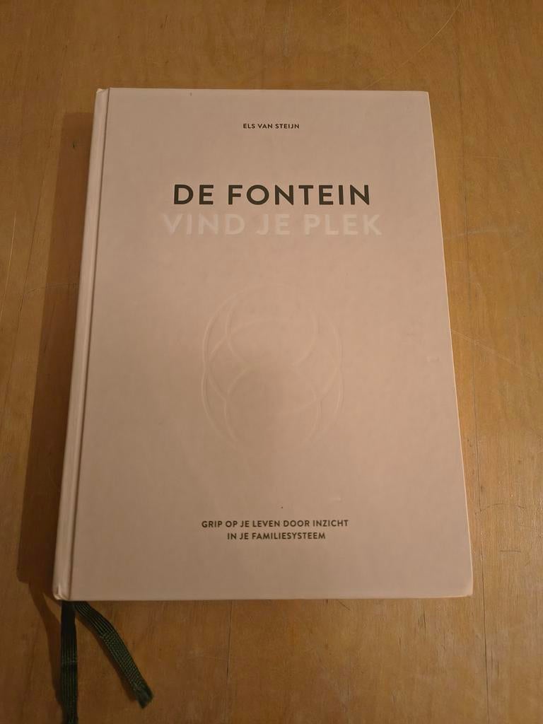 Els van Steijn - De fontein, vind je plek, Boeken, Ophalen of Verzenden, Zo goed als nieuw, Els van Steijn