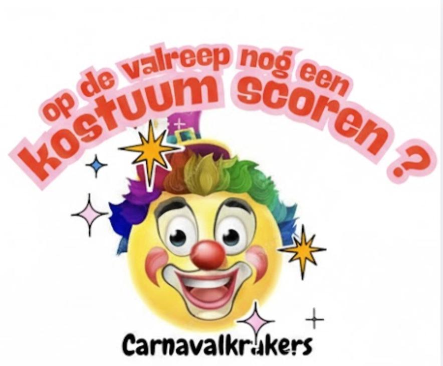Op de valreep een leuke betaalbare carnavals outfit score, Ophalen of Verzenden, Nieuw, Carnaval, Kleding