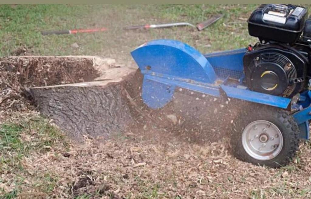 Boomstronk professioneel verwijderen tot 40 cm diepte – snel, Tuinonderhoud of Snoeiwerk