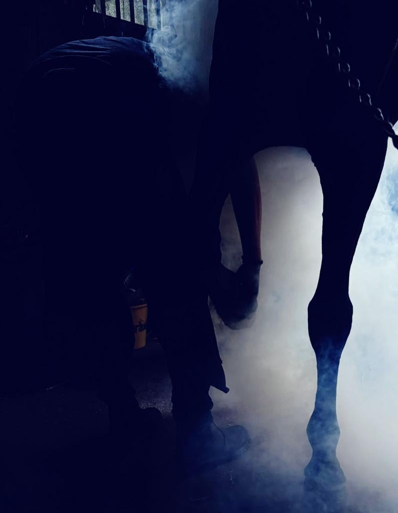 Hoefsmid heeft nog enkele plekken vrij in noord holland.