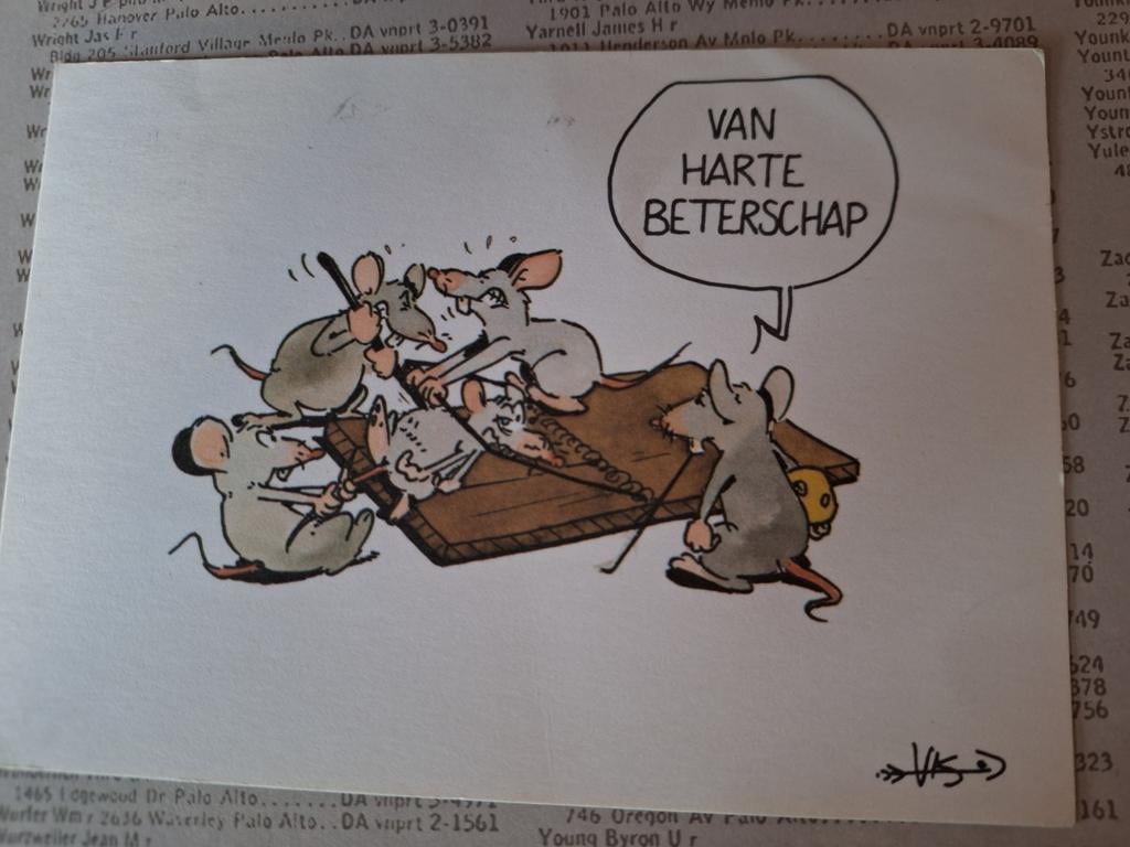 Leendert-Jan Vis, Ophalen of Verzenden, 1980 tot heden, Gelopen, Overige thema's