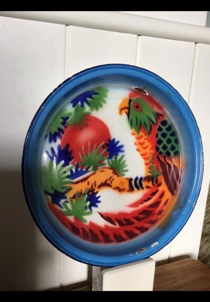 Mooi kleurrijk geëmailleerd bord vogel, roofvogel v. emaille, Ophalen of Verzenden