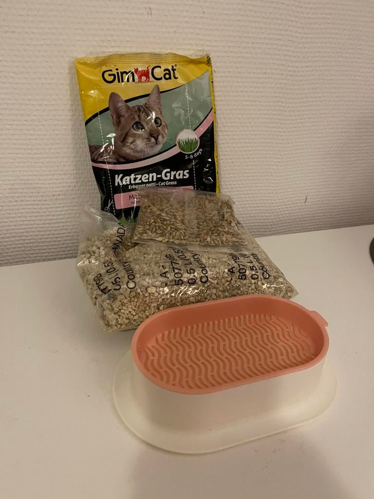 Kweekset kattengras, Ophalen of Verzenden, Nieuw