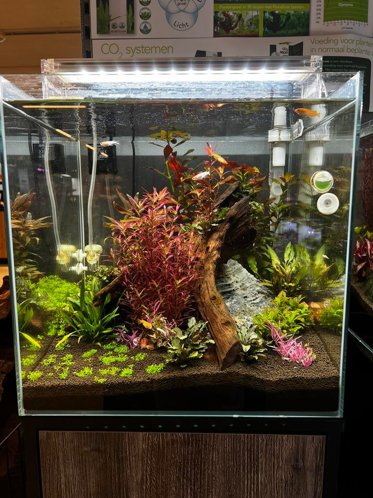 Aqua scape’s op locatie, Dieren en Toebehoren, Vissen | Aquaria en Toebehoren, Ophalen, Zo goed als nieuw, Leeg aquarium