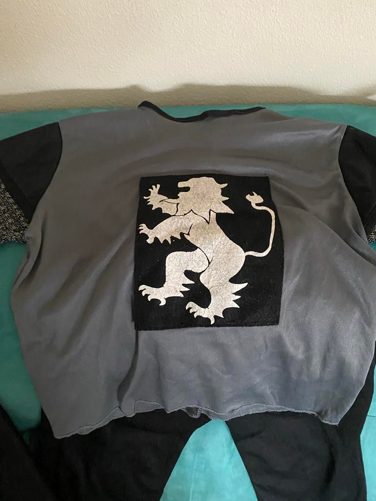 Ridderpak Carnaval Kind 3/4 jaar, Ophalen of Verzenden, Gebruikt, 104 of kleiner, Jongen