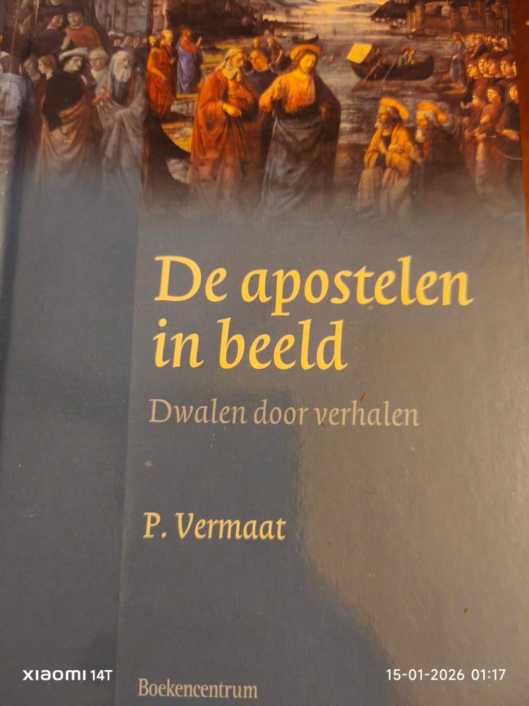 De apostelen in beeld - P. Vermaat, Boeken, Ophalen of Verzenden, Zo goed als nieuw, P. Vermaat