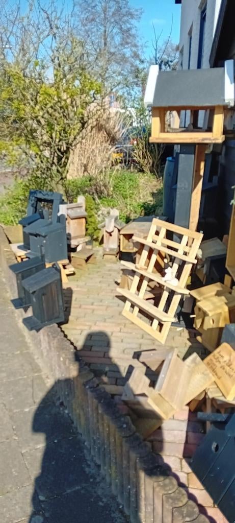 Koolmees hokjes te koop Inprachneerd, Minder dan 3 m³, Ophalen of Verzenden