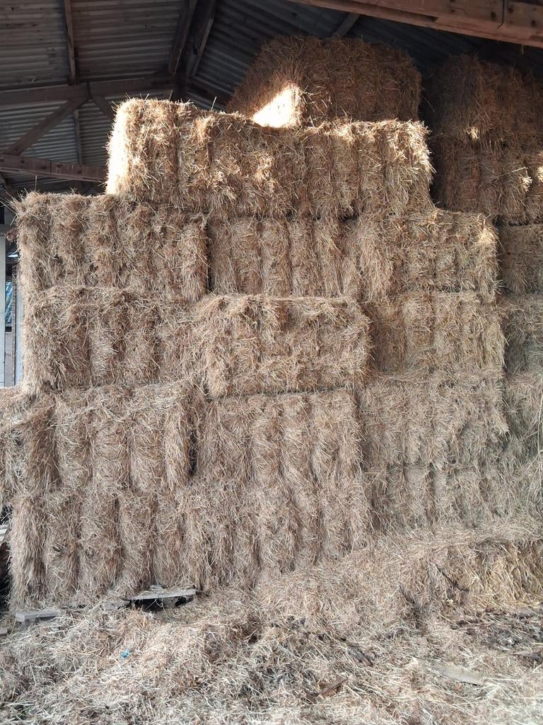 Hooi, Dieren en Toebehoren, Dierenvoeding, Ophalen, Vee