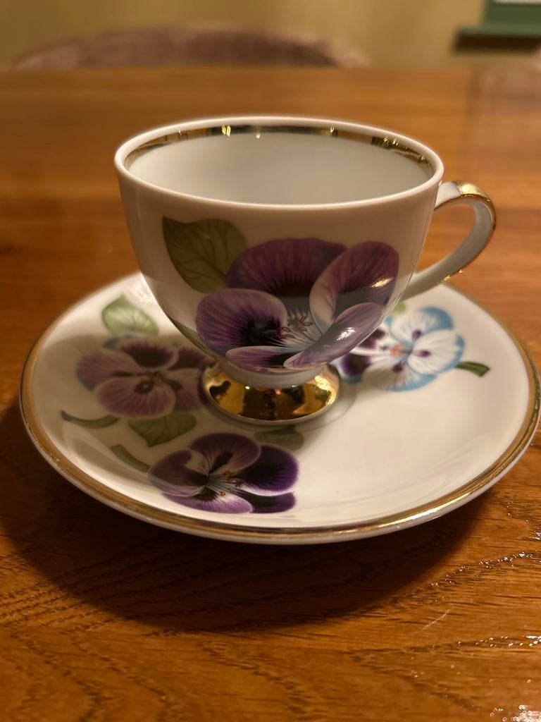 Mitterteich Bavaria Kop en Schotel Viooltjes Decor, Ophalen of Verzenden