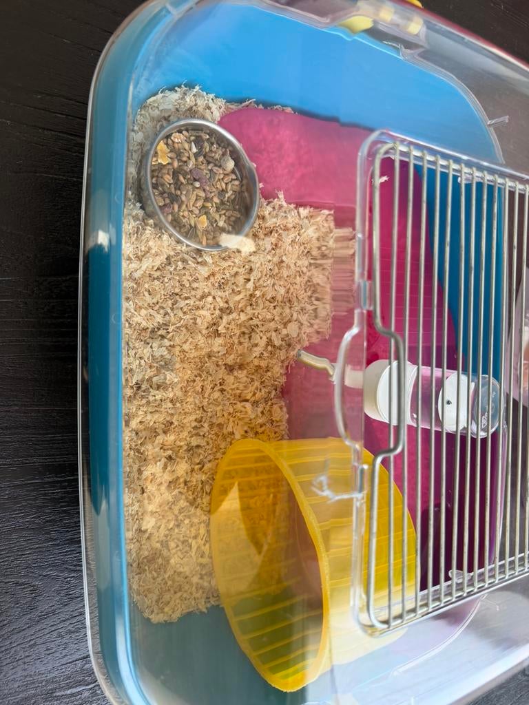 Dwerghamster, Dieren en Toebehoren, Minder dan 60 cm, Kooi, Minder dan 75 cm, Ophalen of Verzenden