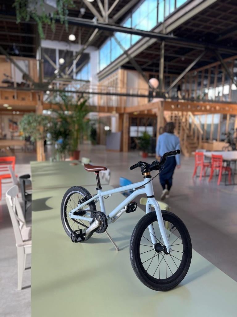 Early Rider belter 16 inch, Fietsen en Brommers, Fietsen | Kinderfietsjes, Ophalen, Gebruikt, 16 tot 20 inch