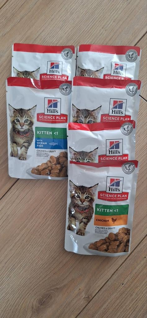 Natvoer kitten, Ophalen of Verzenden, Kat