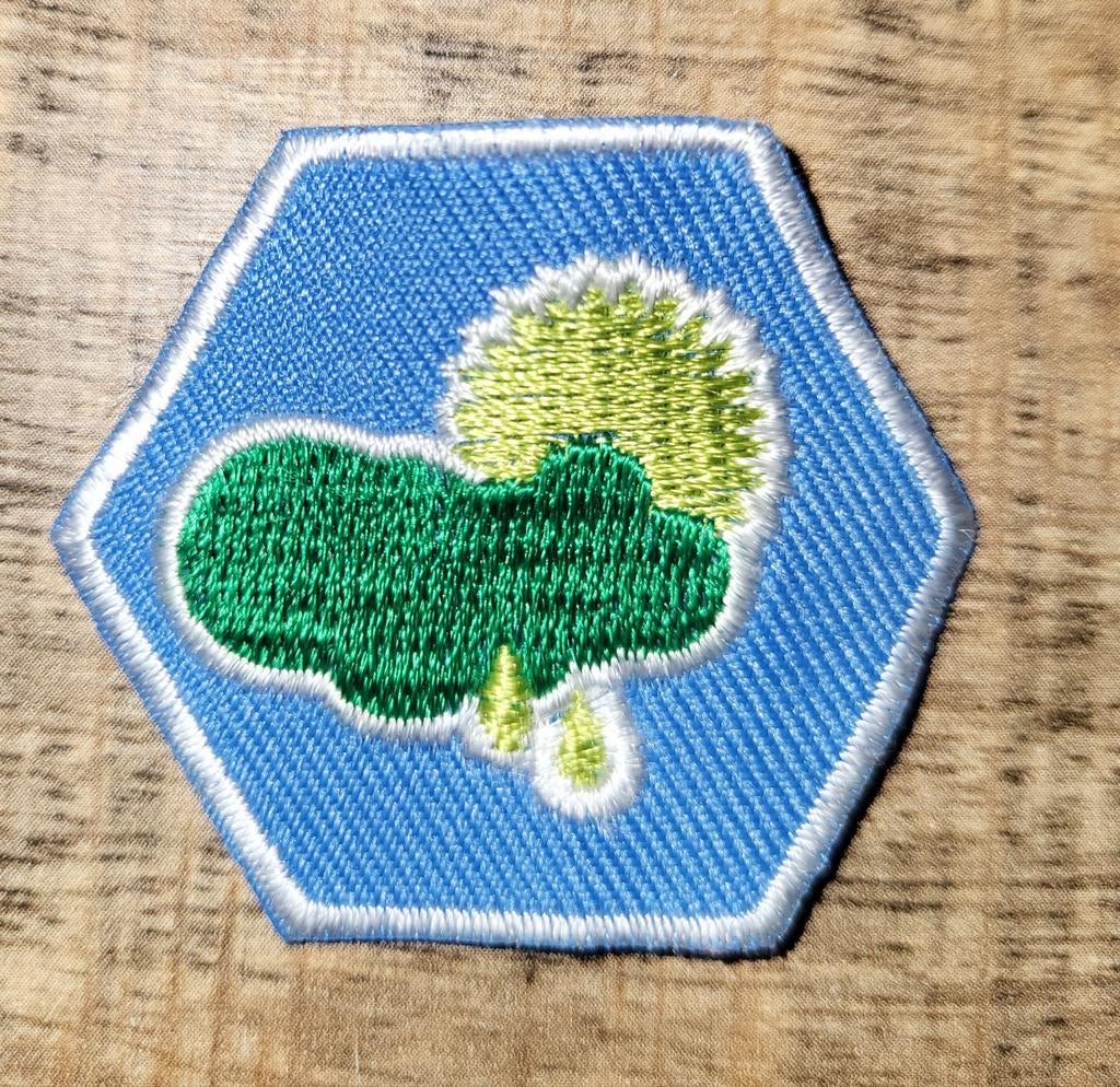 Scouting Insigne Badge Welpen Weer, Verzamelen, Scouting, Ophalen of Verzenden, Gebruikt, Embleem, Speld of Insigne